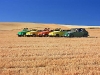 wheat08162008-fixedsm