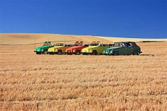 wheat08162008-fixedsm